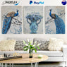 FREE SHIPPING 3 Piece Canvas Painting Design Piece Art 7B