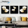 FREE SHIPPING 3 Piece Black background with Silver Lilly Flower Canvas Painting Design Piece Art 71