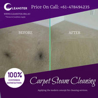 Cleanster- The Cleaning Monster Toongabbie