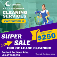 Cleanster- The Cleaning Monster Toongabbie